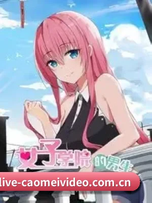 ✨ 娱乐内容愿景 - 长期内容价值积累